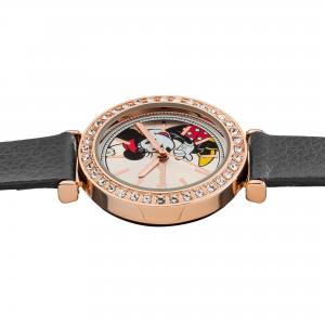 Ingersoll1892 ID00302 The Disney Ingersoll Union View from the s