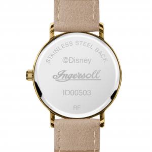 Ingersoll1892 ID00503 The Disney Ingersoll Union Aufnahme von Hi