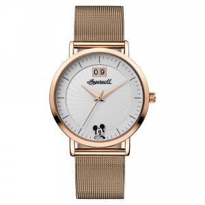 Ingersoll1892 ID00504 The Disney Ingersoll Union Aufnahme von Vorne
